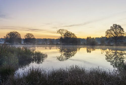 Zonsopkomst Dwingelderveld - Nederland (Drenthe)