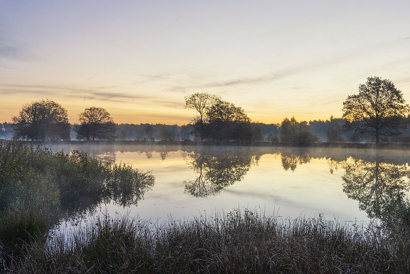Sunrise Dwingelderveld - The Netherlands (Drenthe) by Marcel Kerdijk