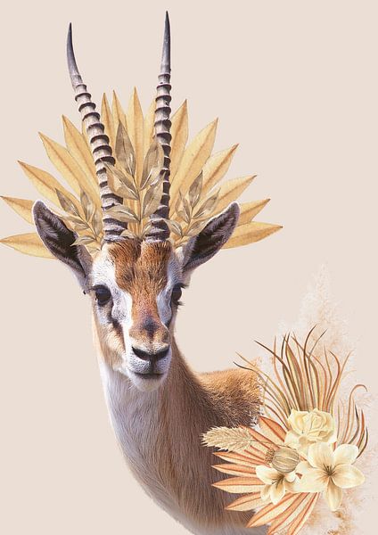 Gazelle in beige tinten