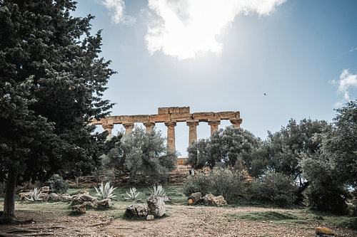 Griekse Tempelruïne op Sicilië tussen Olijfbomen