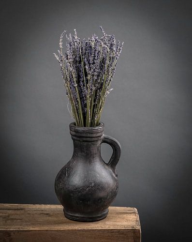 Stilleven Lavendel in kan