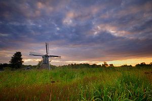 Moulin à tête de filage le Wicher