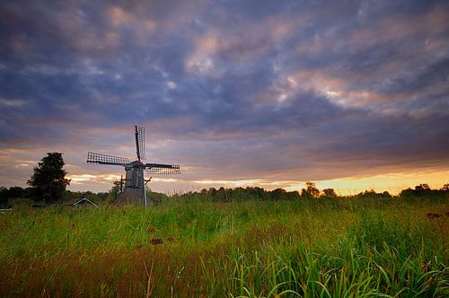 Spinnekopmolen de Wicher