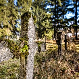 Friedhof der Geisteskranken von Remco Artz
