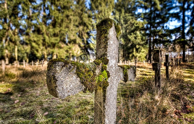 Cemetery of the Insane by Remco Artz