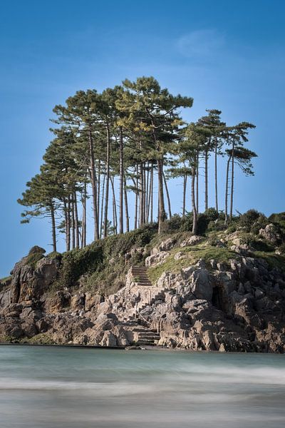 Île avec escalier à marée haute par Detlef Hansmann Photography