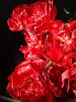 Blume Barock I