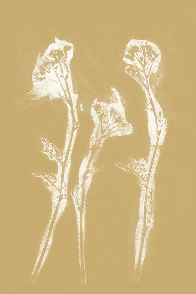Witte drie bloemen in retrostijl. Moderne botanische minimalistische kunst in geel en wit van Dina Dankers