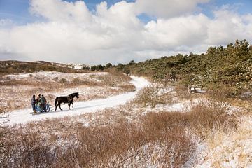 Met de arrenslee door de duinen van Ameland van Nicole Nagtegaal