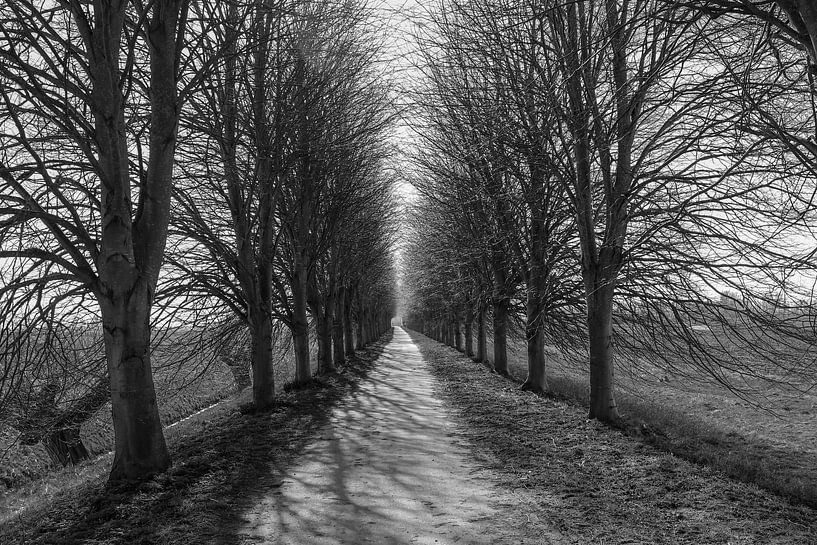 Eindeloos van EauQuai Photography