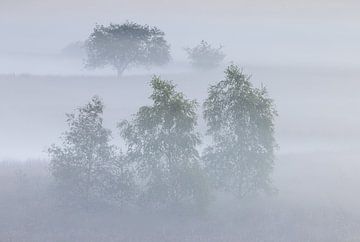 Lever de soleil brumeux Duurswouderheide (Pays-Bas) sur Marcel Kerdijk