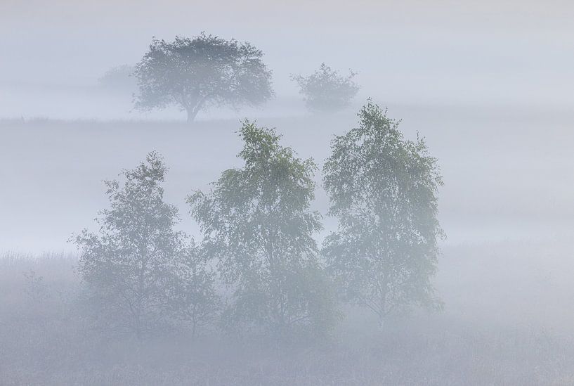 Foggy sunrise Duurswouderheide (Netherlands) by Marcel Kerdijk