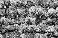 Gestreifte Veilchen (Foto in schwarz-weiß) von Marjolijn van den Berg Miniaturansicht