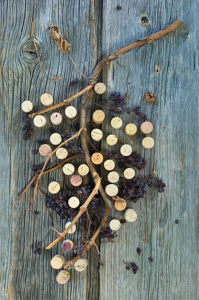 kurkenand gedroogde druiventakken op een houten oppervlak van BeeldigBeeld Food & Lifestyle