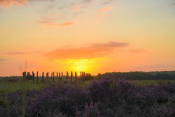 Zonopkomst bij de paarse heide en grafheuvels op de Regte Heide van Miranda Rijnen Fotografie