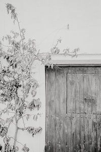 Een zwart-witfoto van een houten deur van Fotografia Elegante