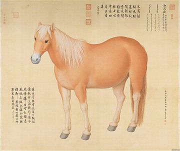 Horse Hongyuzuo, Giuseppe Castiglione