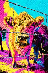 Popart Koe