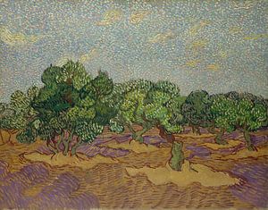 Vincent van Gogh. Landschaft