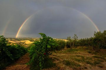 Regenboog en druiven - Toscane - Italie sur Jeroen(JAC) de Jong