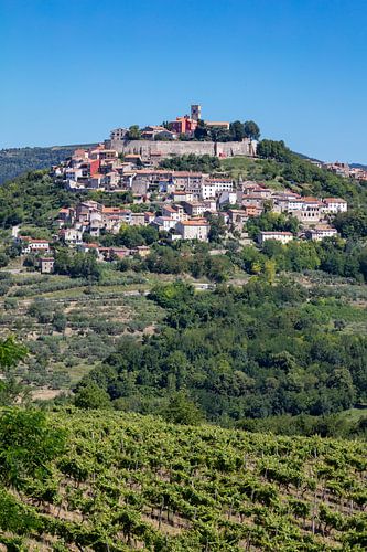 View of Motovun in Croatia