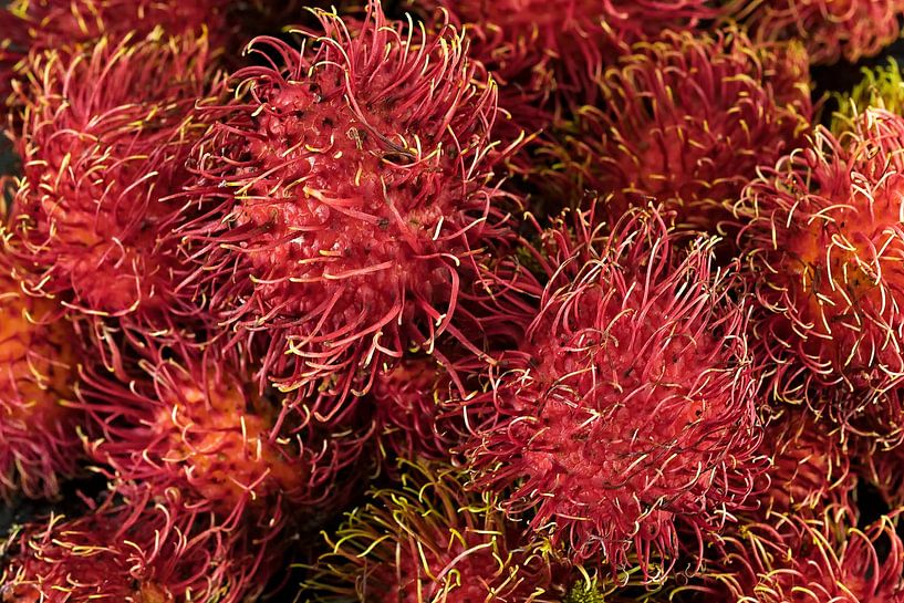 Rambutan, das Gourmet-Juwel der Tropen von Frank Photos