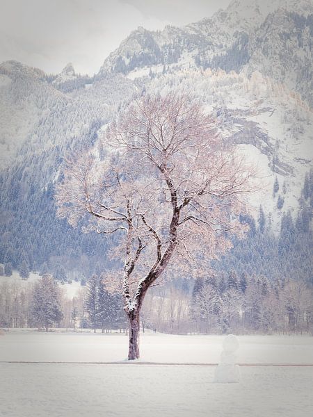 L'arbre d'hiver par Alexander Dorn