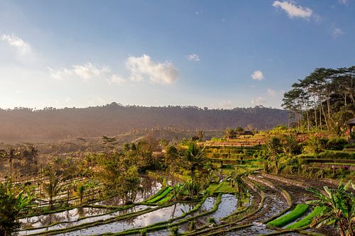 este schilderachtige Aziatische achtergronden en landschappen, volkscultuur en natuur van Bali en Ja