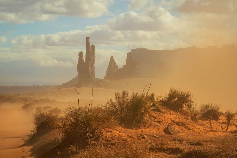 Mât totémique dans une tempête de sable par Martin Podt