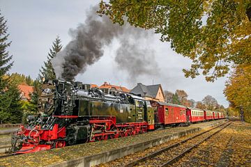 Vertrek naar de Brocken - De Brockenbahn bij station Drei Annen Hohne