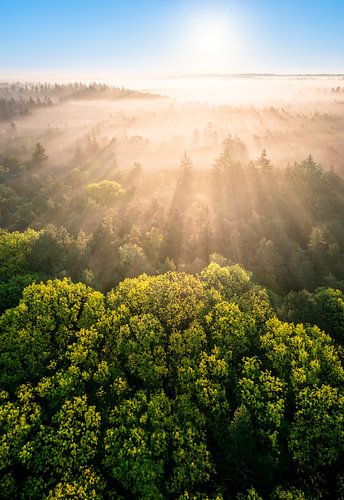 De Aankomst van de Lente