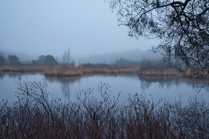 Nebliger Teich von Evelien Huisman