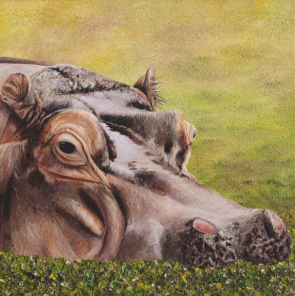 African Hippo by Russell Hinckley