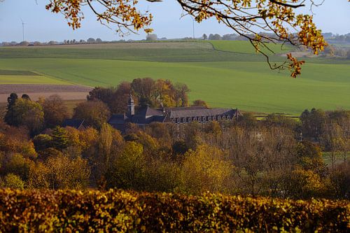 Herfst op de Gulperberg van Timo Videc