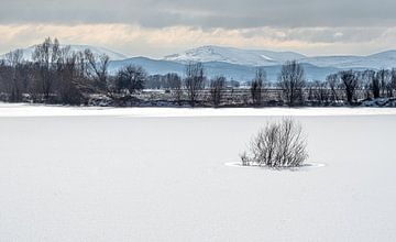 Winter Wonderland in Suhut van Roland's Foto's