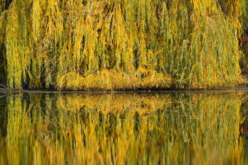 BERLIN Lietzensee - mirroring II von Bernd Hoyen