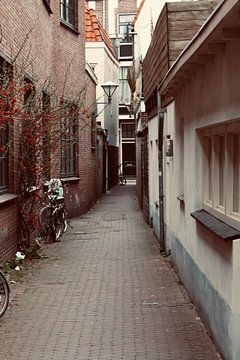 Een beeld van Nederland van Joey D.