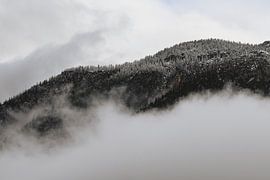 Neige fraîche entre les nuages