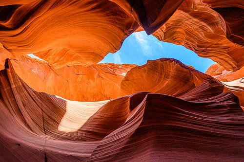 Wonderbaarlijke creatie van Gerry van Roosmalen