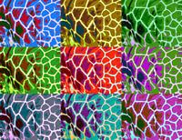 Pop Art Giraffe