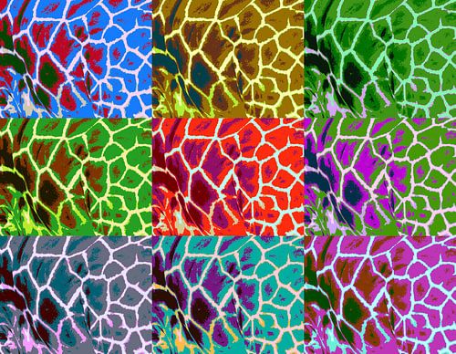 Pop Art Giraffe von FrankB-Fotografie