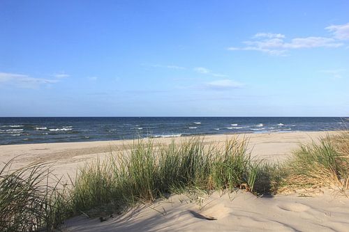 Dunes by Ostsee Bilder