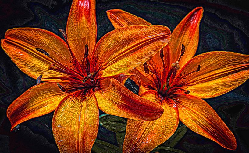 Two flamed orange lilies with raindrops by Rietje Bulthuis