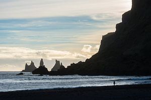 Natuurlandschap IJsland van René Schotanus