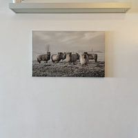 Klantfoto: Schapen in de polder (gezien bij vtwonen) van MS Fotografie | Marc van der Stelt, op canvas