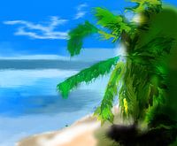 Beach Palm