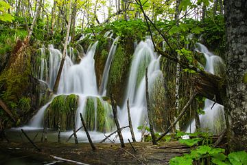 Parc naturel des lacs de plitvice en Croatie sur Jennifer Hendriks