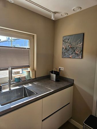 Abstract square: Droplets rest on a dandelion