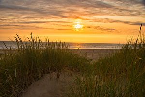 Sonnenuntergang in den Dünen von Schoorl