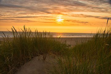 Coucher de soleil dans les dunes de Schoorl sur Tanja Voigt